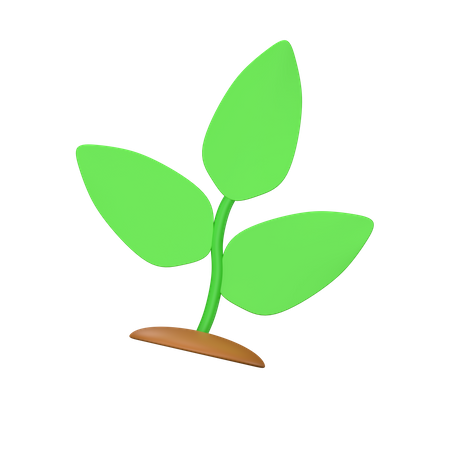 Plants 3D Icon