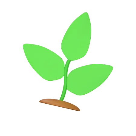 식물  3D Icon