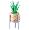 Plants Pot