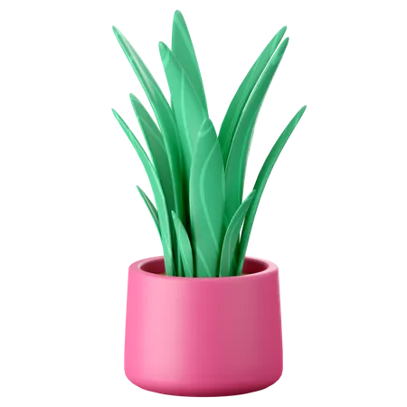 Plants Pot  3D Icon