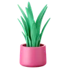 Plants Pot