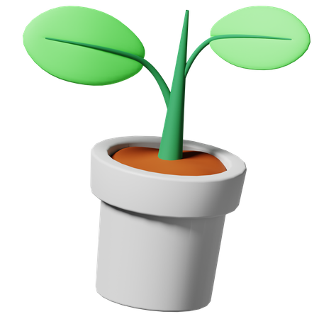 Plants Pot  3D Icon