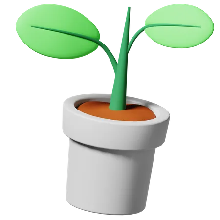 Plants Pot  3D Icon