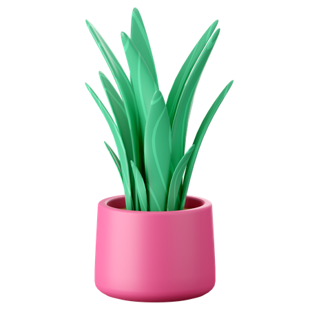 Plants Pot  3D Icon