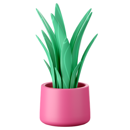 Plants Pot 3D Icon
