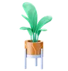 Plants Pot