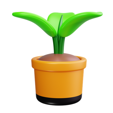 Planta de semillero  3D Icon