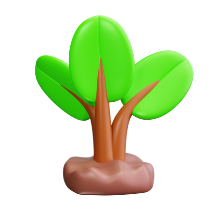 Planta de semillero  3D Icon