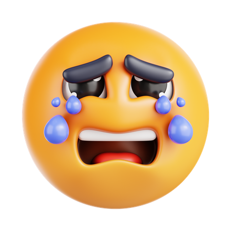 Pleurer fort  3D Icon