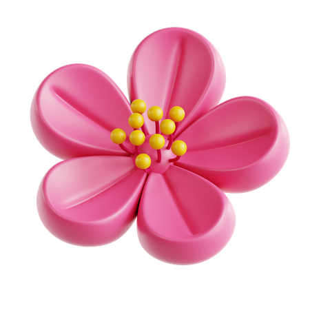 Plum Blossom  3D Icon