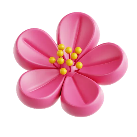 Plum Blossom  3D Icon