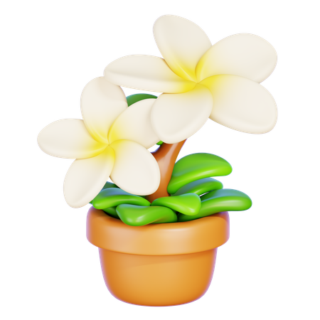 Plumeria  3D Icon