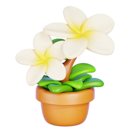 Plumeria  3D Icon