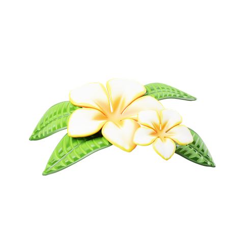 Plumeria  3D Icon