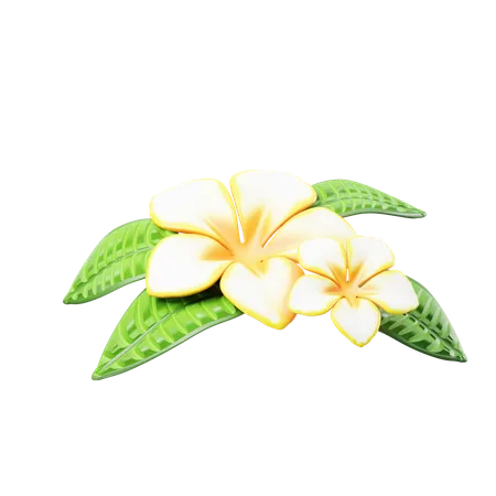 Plumeria  3D Icon