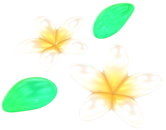 Plumeria flowers  3D Icon