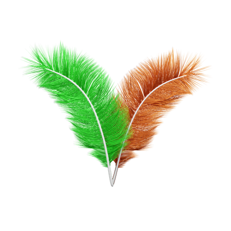 Plumes  3D Icon