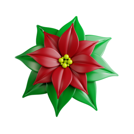 Poinsettia  3D Icon