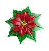 Poinsettia