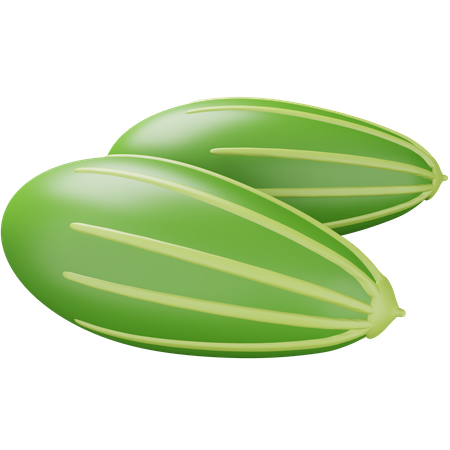 Pointed Gourd  3D Icon