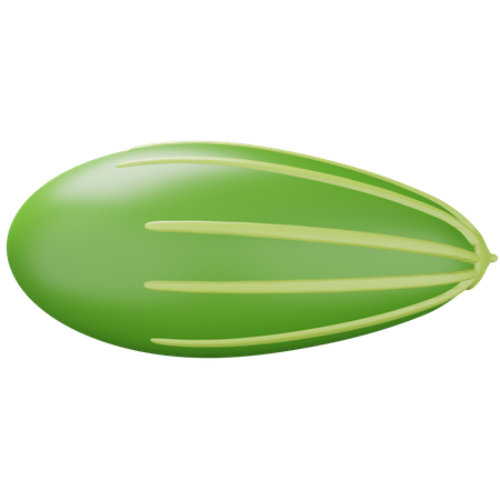 Pointed Gourd  3D Icon