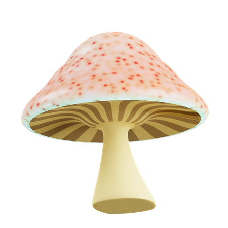 Poisonous Mushroom  3D Icon