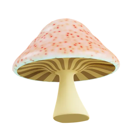 Poisonous Mushroom  3D Icon