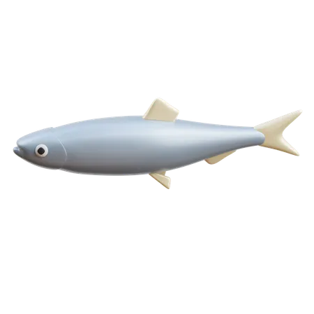 Poisson  3D Icon