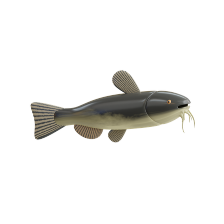 Poisson-chat  3D Icon