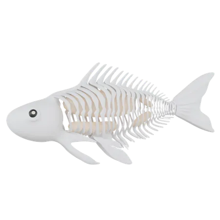 Poisson aux rayons x  3D Icon