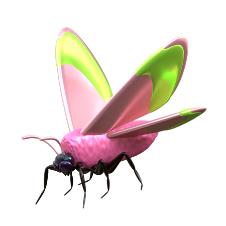 Polilla  3D Icon