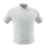graphics of polo shirt