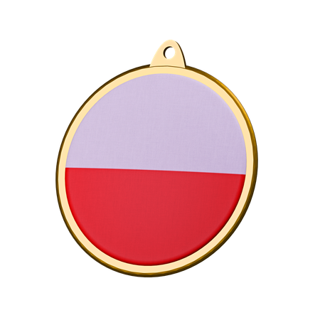 Insigne de médaille du drapeau de la Pologne  3D Icon