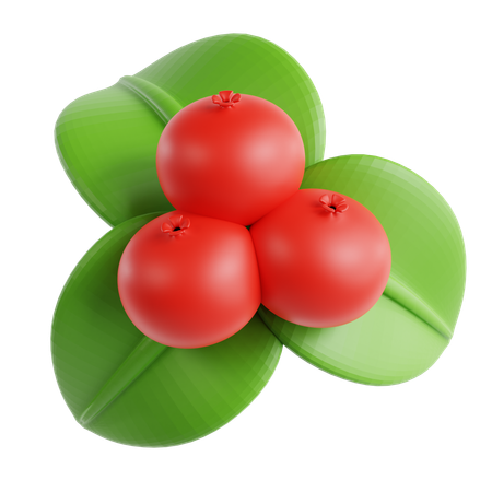 Pomegranate  3D Icon