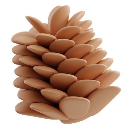 Pomme de pin  3D Icon