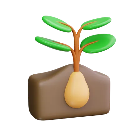 Plant de pomme de terre  3D Icon