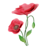 poppy 3ds