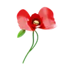 Poppy