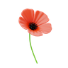 poppy symbol