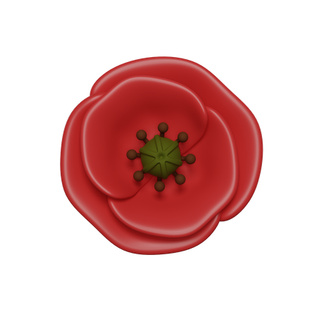Poppy  3D Icon