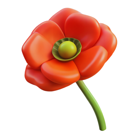 Poppy flower  3D Icon