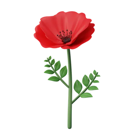 Poppy Flower  3D Icon