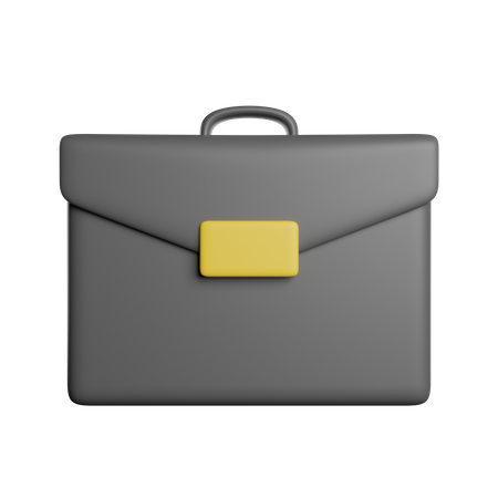 Portfolio  3D Icon
