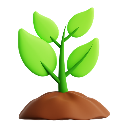 Pot  3D Icon