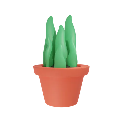 Pot  3D Illustration