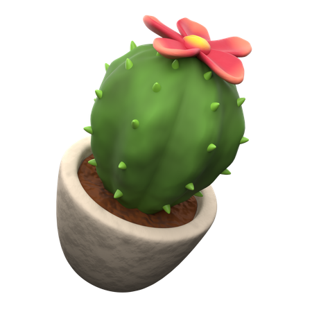 Pot de cactus  3D Icon