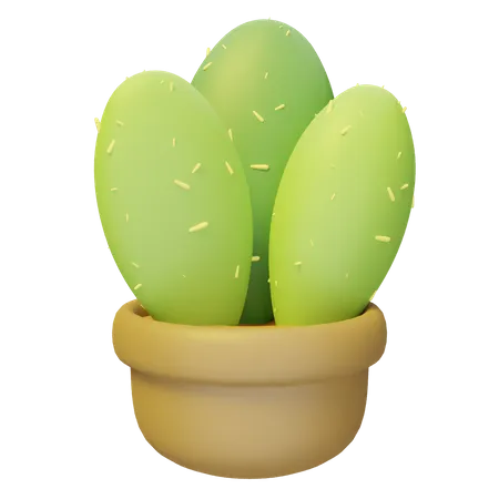 Pot de cactus  3D Illustration