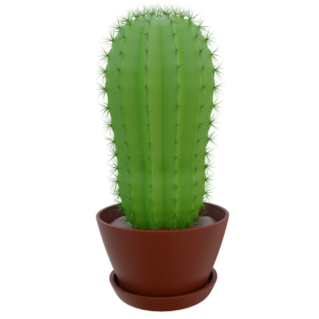 Pot de cactus  3D Icon