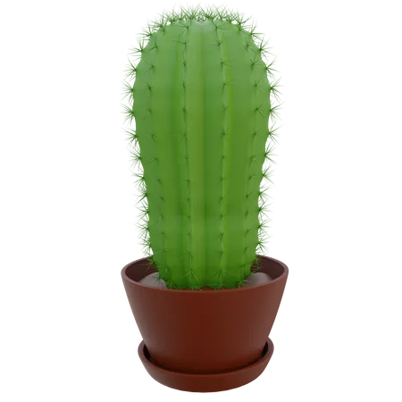 Pot de cactus  3D Icon