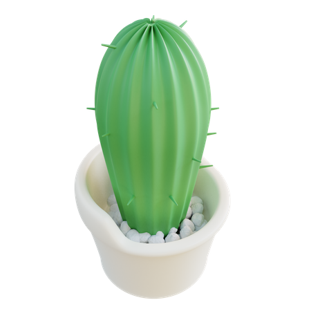 Pot de cactus  3D Icon